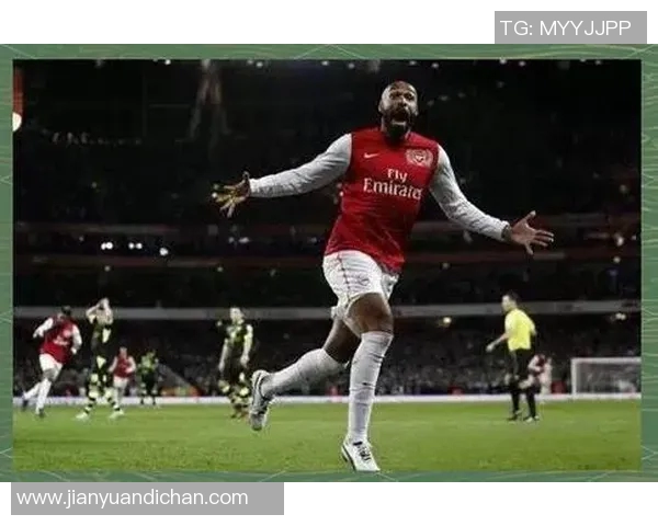 亨利传奇：从草地到巅峰，足球世界的永恒印记与激情岁月